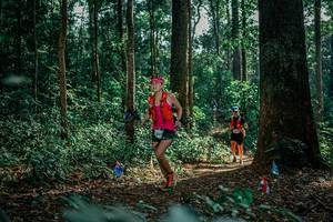 BIB: 
                            <button type="button" onclick="openModal(26134179)" class="btn btn-primary btn-sm float-right btn-popup" data-toggle="modal" data-target=".modal-high-quality">
                        <i class="fas fa-shopping-cart"></i> Add to Cart
                    </button>
                                            <button type="button" onclick="isThisMe(26134179, true)" class="btn btn-success btn-sm float-right btn-popup btn-isme hidden" data-toggle="tooltip" data-placement="bottom" title="นี่คือรูปของคุณใช่ไหม คลิกที่นี่เพื่อเอาเข้าอัลบั้ม">
                        <i class="fas fa-plus"></i> Add to album
                    </button>
                    <button type="button" onclick="isThisMe(26134179, false)" class="btn btn-warning btn-sm float-right btn-popup btn-isnotme hidden">
                        <i class="fas fa-ban"></i> Remove from album
                    </button>